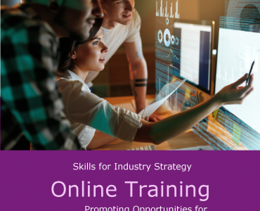 Skills for industry, Online training