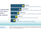 Talai survey responses