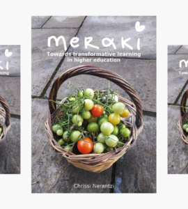 Meraki book pblished higher education book review