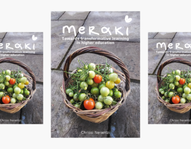 Meraki book pblished higher education book review