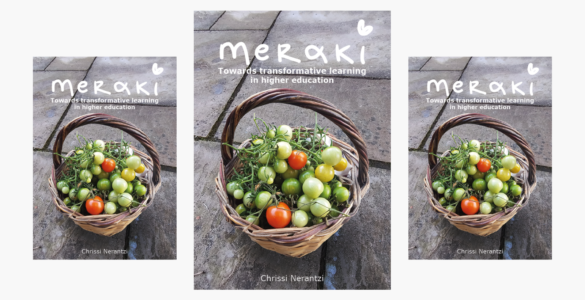 Meraki book pblished higher education book review