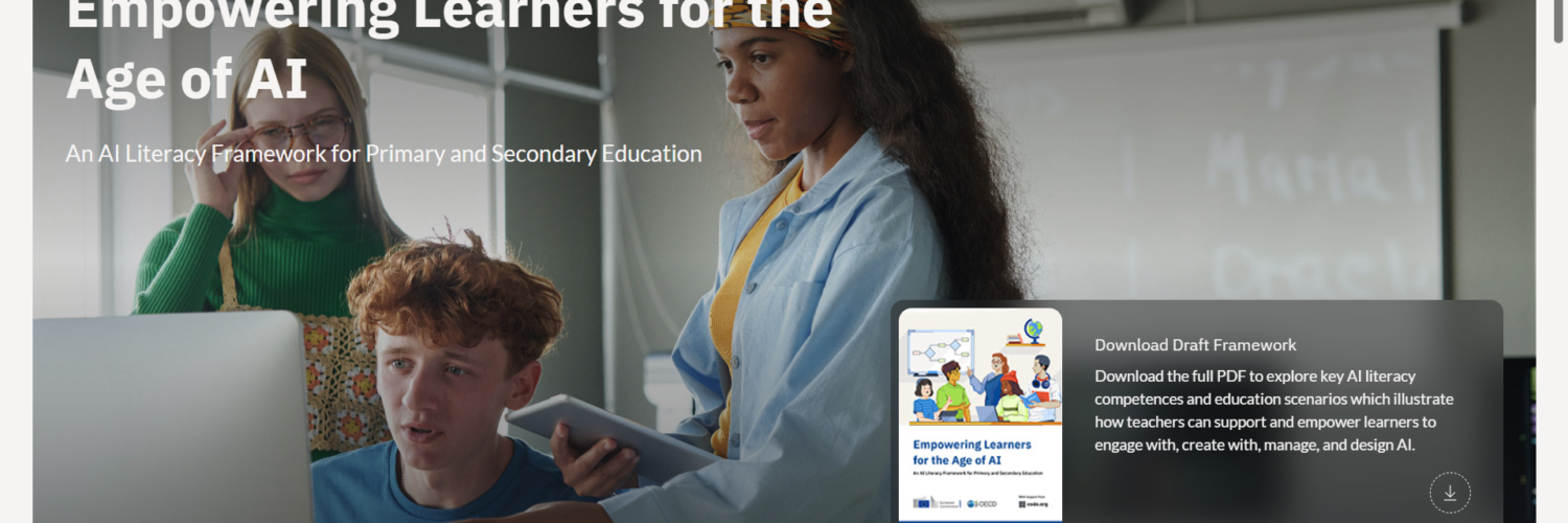 OECD ai literacy framework