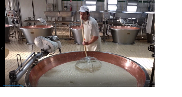 Producing Parmigiani Cheese