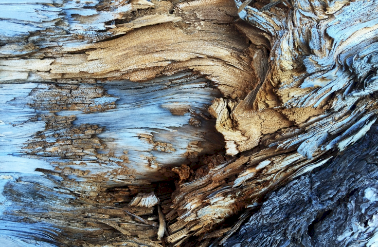 Close-up of weathered wood, showing light blue-grey and brown textures with splintered and layered grain