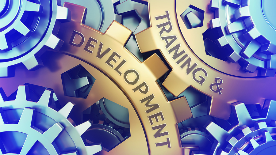 Two golden gears with the words DEVELOPMENT and TRAINING & on them, meshing with other silver gears.