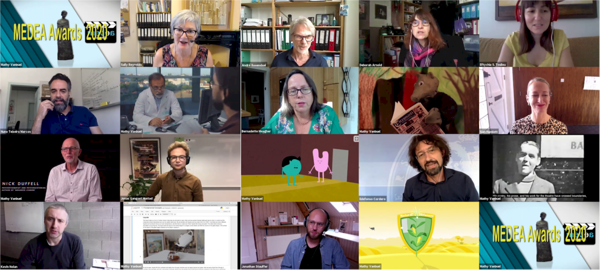 Screenshot of a video conference with 20 participants, some showing their faces, others showing slides or videos
