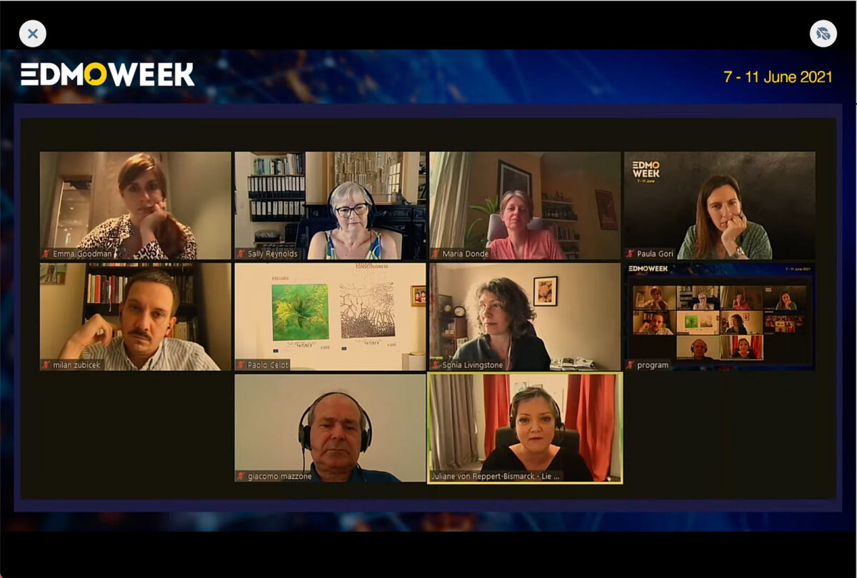 Screenshot of a video conference with nine participants, including Emma Goodman, Sally Reynolds, and Maria Donde.