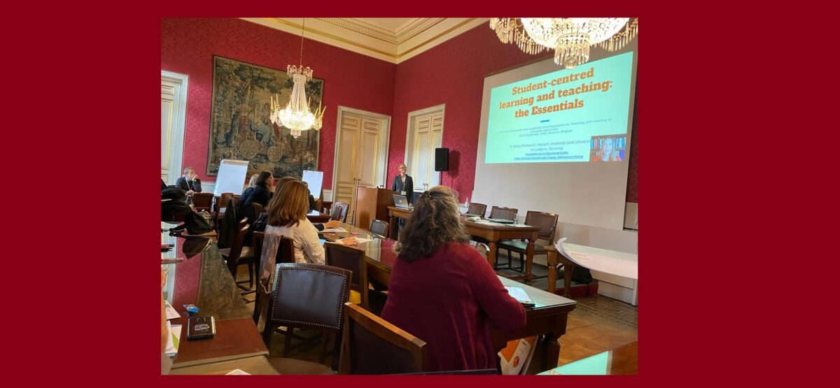 A speaker presents a slide titled 'Student-centred learning and teaching: the Essentials' to an audience.
