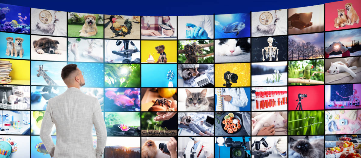 Man looking at a wall of screens displaying various images, including animals, nature, and science.
